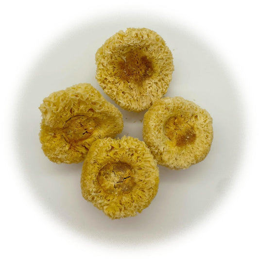 古田雪耳 Gutian Snow Fungus (150g)