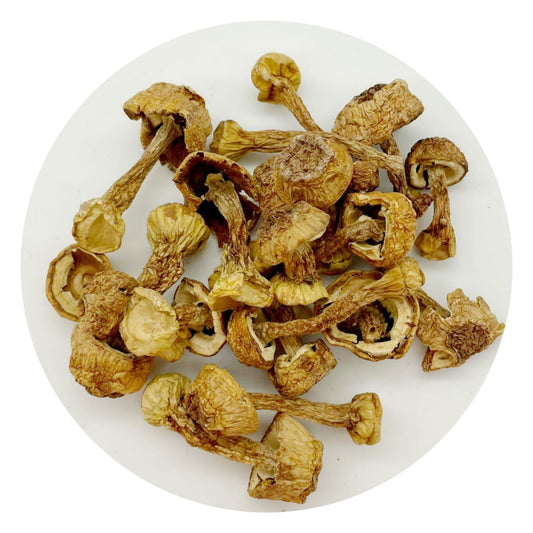 特級姬松茸 (100g)
